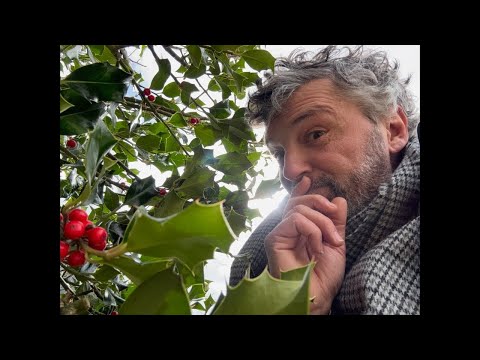 Temps limité sur terre, Loi spirituelle, Les esprits, Willy Grunch, Euthanasie : Live8 A.Auderset