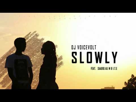 Voicevolt-Slowly feat Saadiq Ali M & I.T.E