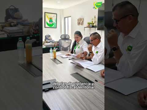 AUDITORIA FINANCIERA SANTA ROSALIÍA 2025