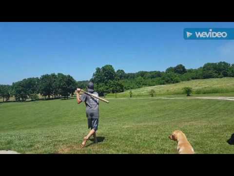 How to make Oreo cookies