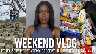 VLOG | MY NEW HOUSE IS INFESTED!, GROCERY HAUL + COOK WITH ME +THE CAT TRIED TO RUN AWAY!