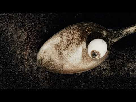 Pixies - Motorway To Roswell (John Peel Session, 1991) [Official Audio]