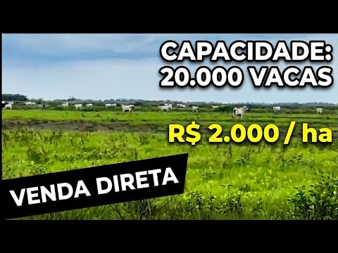 Oportunidade Monumental: 86.000 ha em Poconé por R$ 2.000 o Hectare