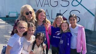 Wags and Walks
