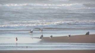 God is God Joan Baez