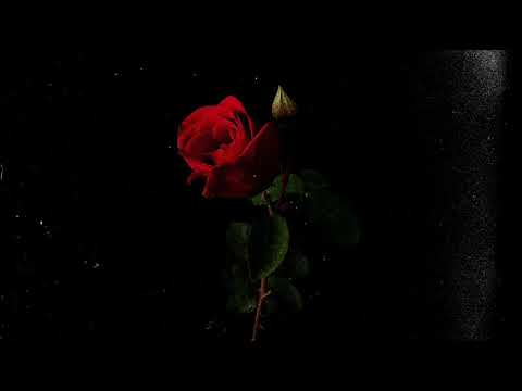 [FREE] Lil Peep x Post Malone Type Beat - "Roses"