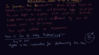 Reproductive Phase of Life in Humans | Class 8 Biology Reaching the Age of Adolescence