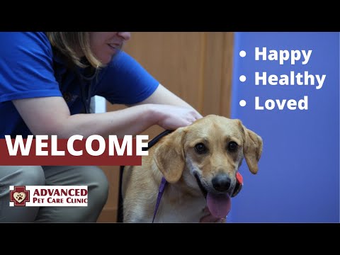The Best Care for Your Pet in the Cedar Valley | Welcome