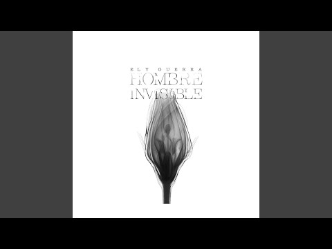Colmena video
