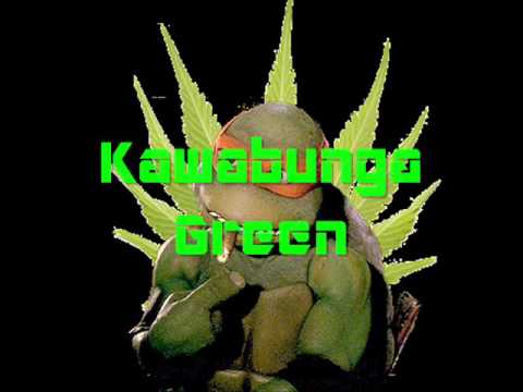 Kawabunga Green by Don DiEon