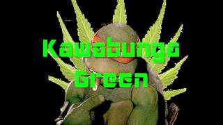 Kawabunga Green by Don DiEon