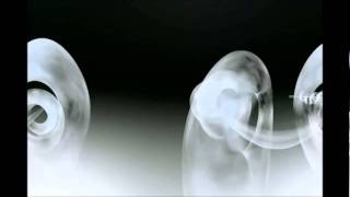 Harold Budd & Brian Eno   The Plateaux of Mirror (1980)