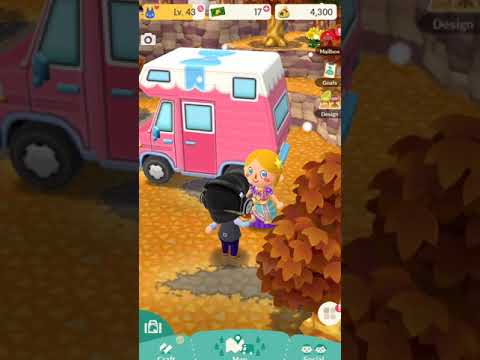 Animal Crossing Pocket Canp (2017)  Gameplay Owl Mafia