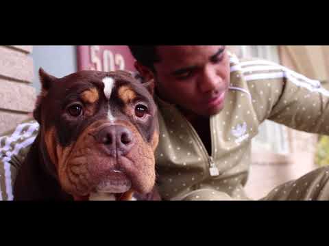 This Year - Yuppie Zanotti (Official Video)