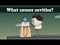 What Causes Cavities Aumsum Kids Science Education Children