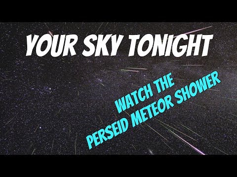 Your Sky Tonight - The Perseid Meteor Shower