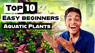 My Top 10 Easy Beginners Aquarium Plants ( Need CO2 ?)