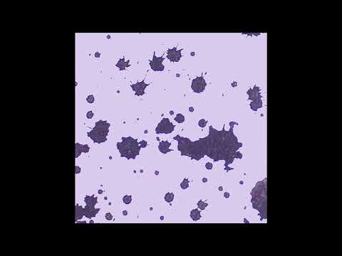 Datacrashrobot - Polytree (Pearl River Sound  Remix) - Embedded System LP - [DRSS40026] - 2020