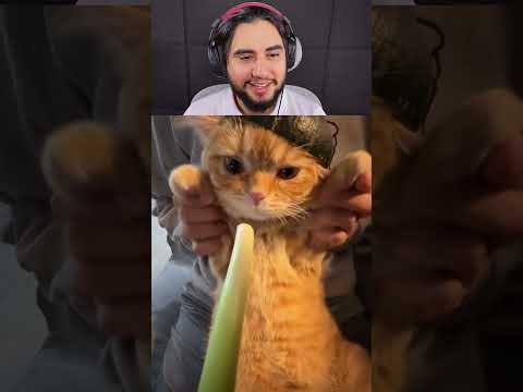 ele tava tão feliz atirando