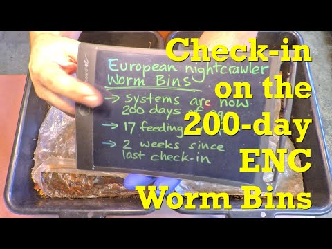 200-day European nightcrawler worm bins get feeding #18 after 2 weeks - vermicompost