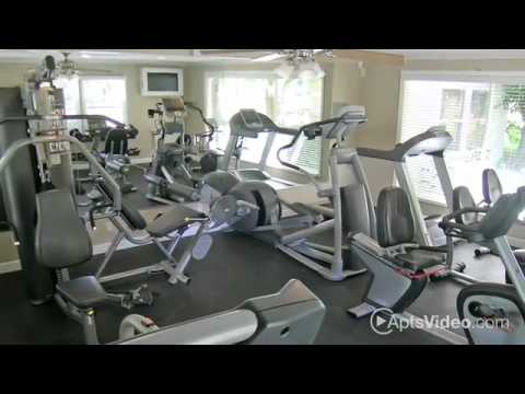 Alexandria Park Apartments in Los Angeles, CA - ForRent.com