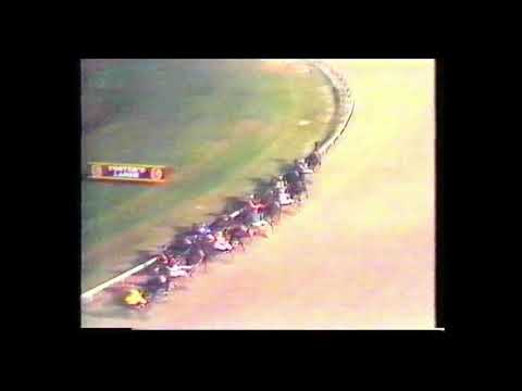 1986 Inter Dominion Heat 9 - Village Kid
