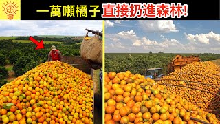 [討論] 廚餘坑其實是大型社會實驗？