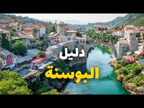 الفيديو