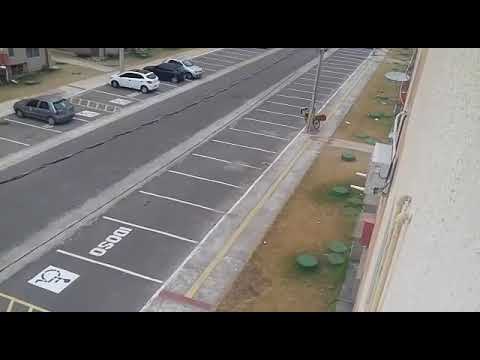 Verdureiro do macapaba conhecido como azedo " ainda teeemmm"