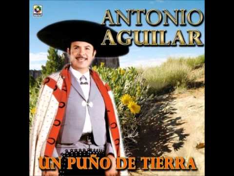 Llorar Llorar