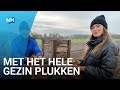 Dit is de grootste pluktuin van Nederland
