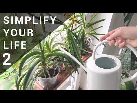 My Simplified Orchid & Houseplant Watering Routine Pt. 2 - Hacks to Make it Work