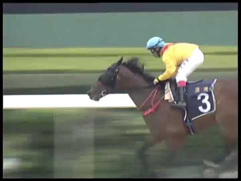 2019-05-12 Macau Meeting Race 5(0236) - THE MANAUS