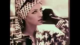 Ku Klux Glam (Ariel Pink & R. Stevie Moore) - No Zipper (Official Music Video)