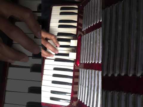 Corazon necio #cardenalesdenuevoleón #acordeondeteclas #acordeonista #músicanorteña #viralshorts