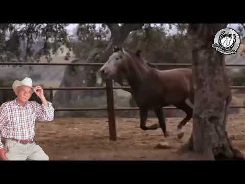 BRAULIO PALMA EL POTRO GARAÑON