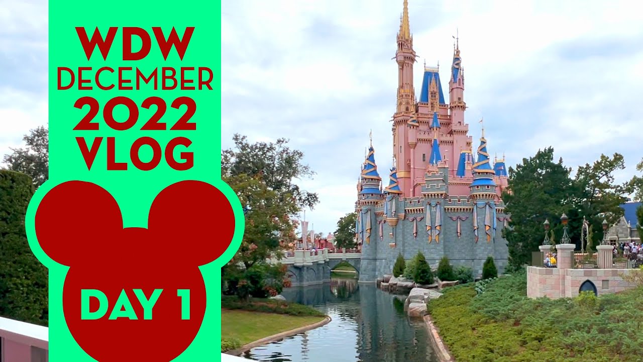 Walt Disney World December 2022 VLOG - Day 1 - Travel  Day, Magic Kingdom, 'Ohana