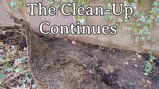 The Clean Up Continues