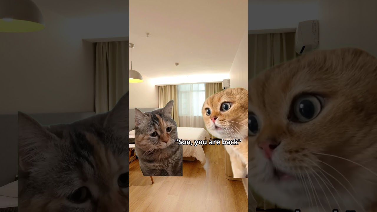 Weekend is finally here but...