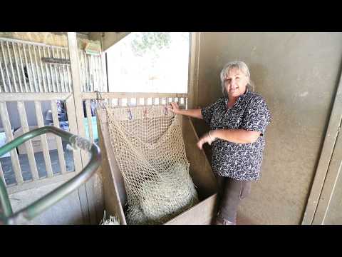 freedom feeder full bale slow feed hay net