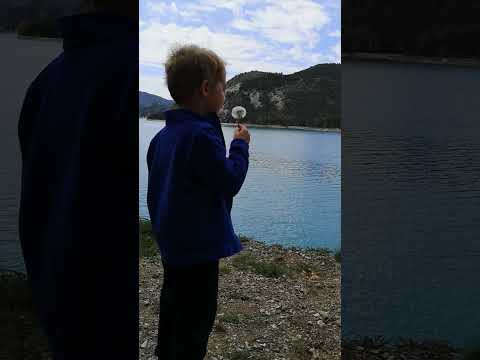 n6tsYUtHX1I.VIDEOONLINE