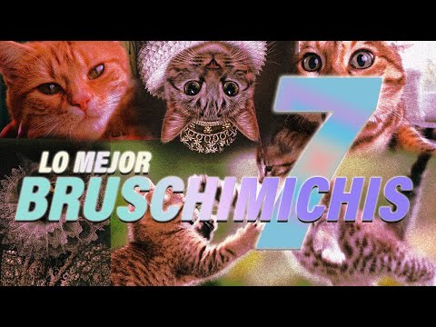 LO MEJOR DE LOS BRUSCHIMICHIS 7  - PABLO BRUSCHI