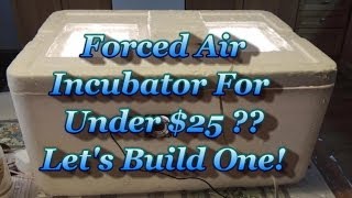 Build a Forced Air Incubator For UNDER $25!!
