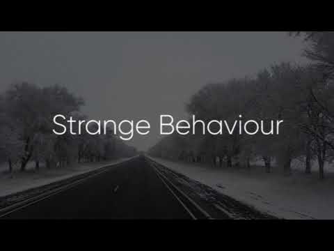 Luwaks - Strange Behaviour