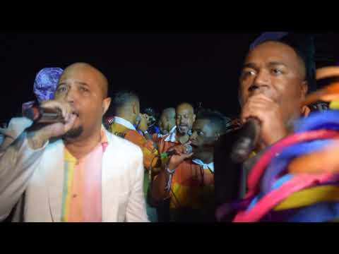 IMPERATRIZ DONA LEOPOLDINA ARRANCADA 2020