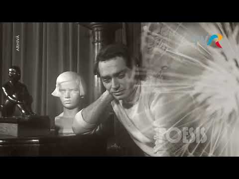 Alexandru Repan recită ”Desen” de A. E. Baconsky