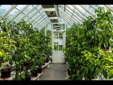 Reč struke ep. 185 19.06.2018. NAJAVA