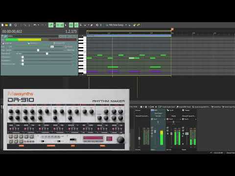 Acid Pro Suite 11 & Maxsynths DR-910 (TR-909)