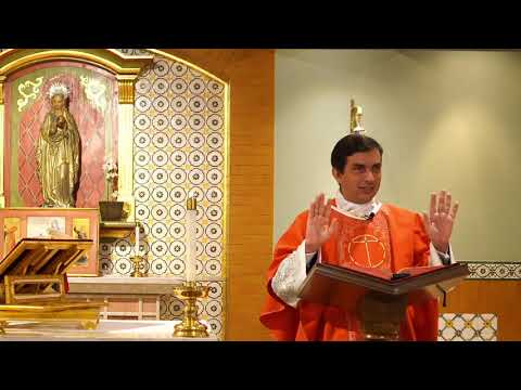 Pe. Guilherme. Homilia Lc 6, 12-19  (28/10/2020)