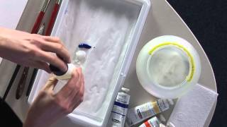 Product video